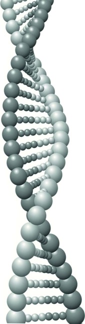 DNA